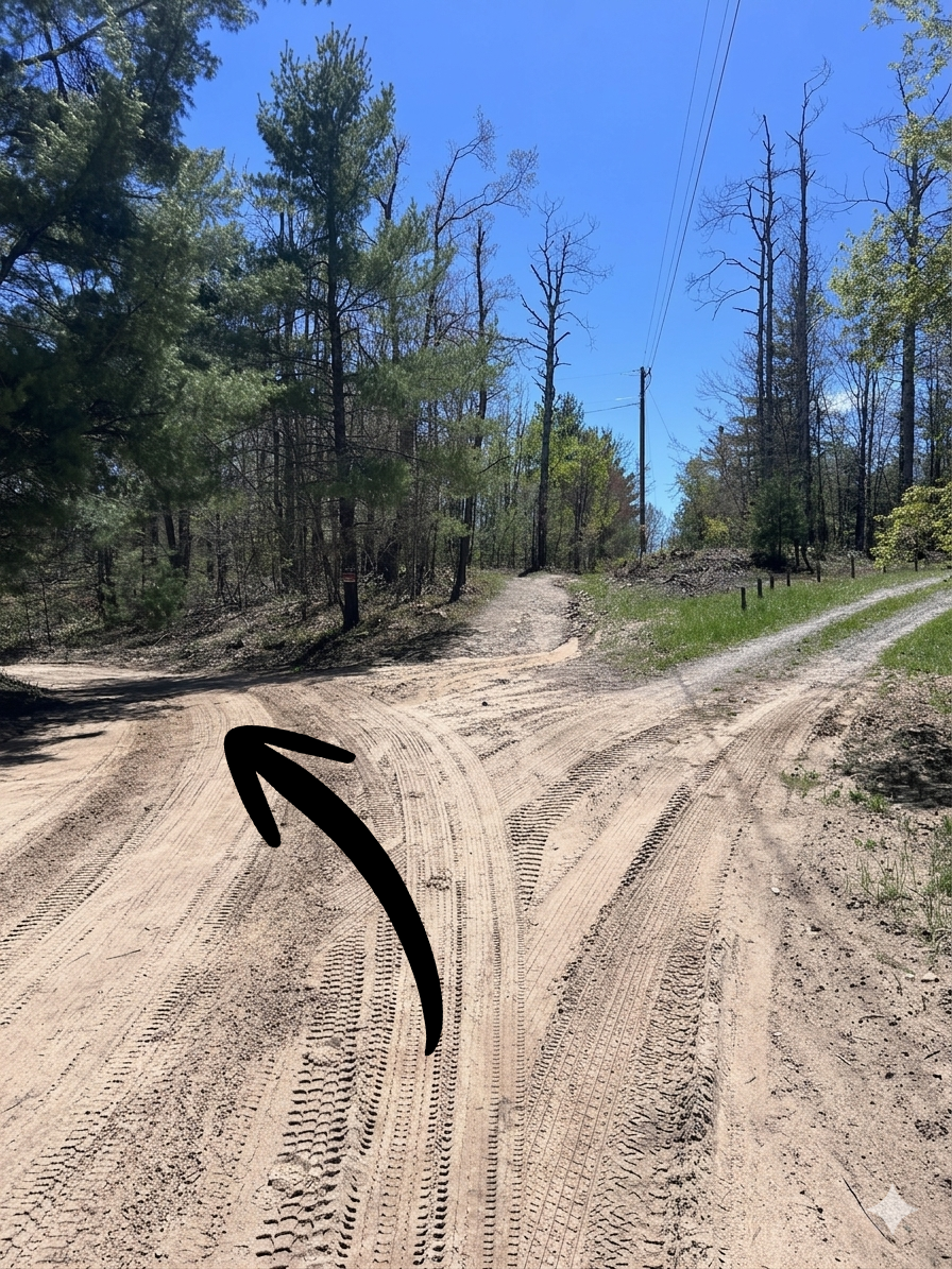 Step 1: bear left at the fork about 1.5 miles in