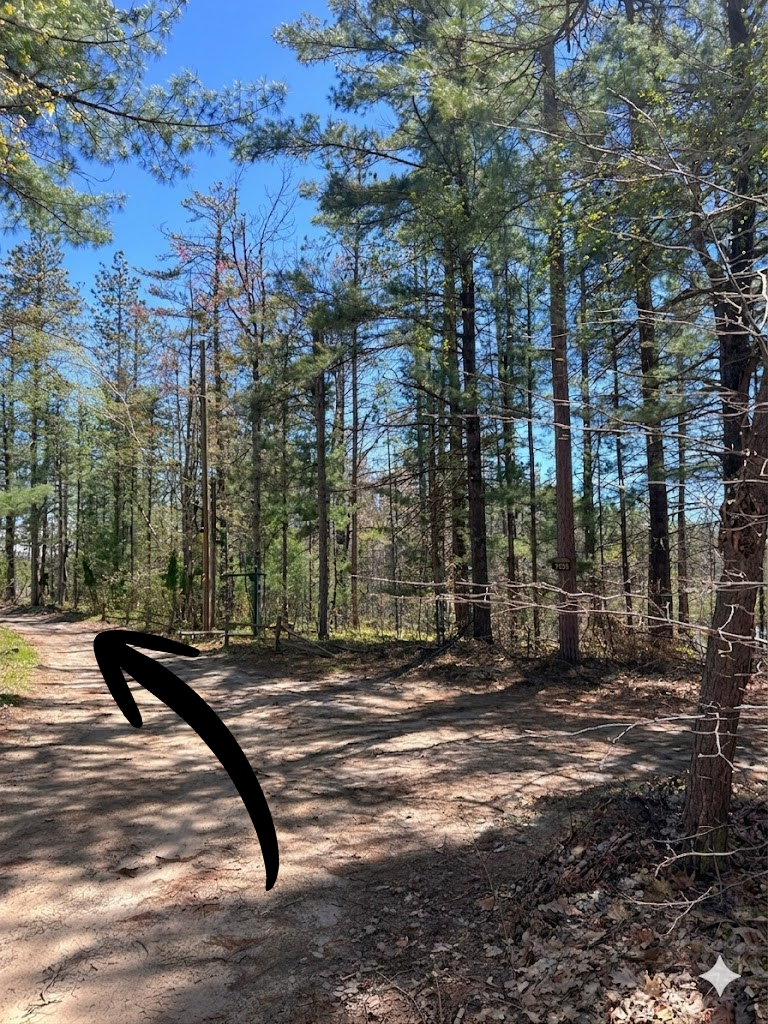 Step 4: follow the road left to Knotty Pine at the end of the road